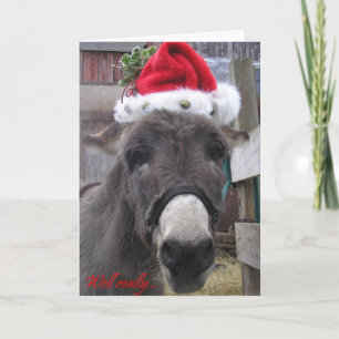 Cartes Pour Fêtes Annuelles "Les ânes font de grands Santas !"