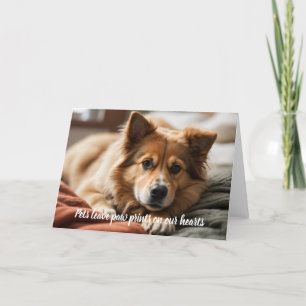 Cartes Pour Fêtes Annuelles Les animaux laissent des empreintes de pattes sur 