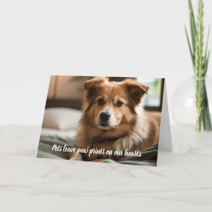 Cartes Pour Fêtes Annuelles Les animaux laissent des empreintes de pattes sur 