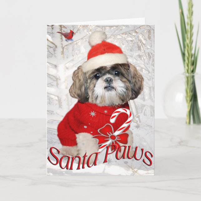 Cartes Pour Fêtes Annuelles Les Cards de Shih Tzu (Devant)