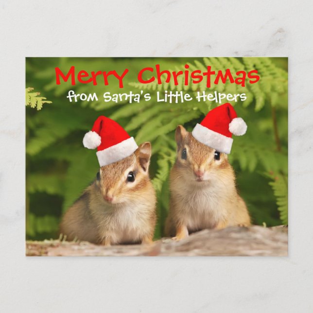 Cartes Pour Fêtes Annuelles Les Chipmunks de Santa's (Devant)