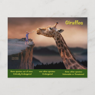 Cartes Pour Fêtes Annuelles Les espèces de girafe sont maintenant en danger -