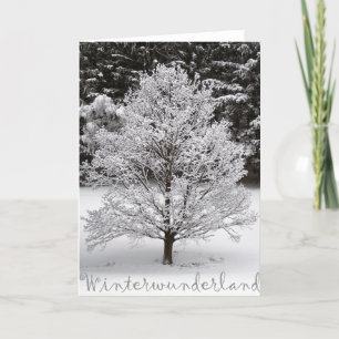 Cartes Pour Fêtes Annuelles Les merveilles hivernales