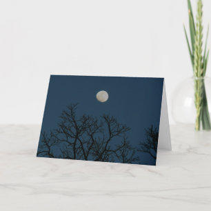 Cartes Pour Fêtes Annuelles Les Nuits Sont Pour Toujours : Un Avis D'Amour