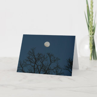 Cartes Pour Fêtes Annuelles Les Nuits Sont Pour Toujours : Un Avis D'Amour