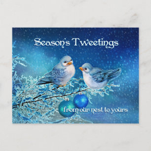 Cartes Pour Fêtes Annuelles Les oiseaux bleus de Noël tweetent dans un arbre n
