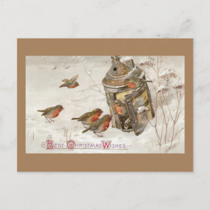 Cartes Pour Fêtes Annuelles Les oiseaux trouvent refuge dans Lantern Noël Vint