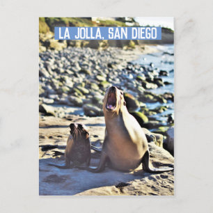 Cartes Pour Fêtes Annuelles Les phoques de La Jolla