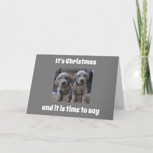 CARTES POUR FÊTES ANNUELLES LES PUPIES ENVOIENT DES SOUHAITS DE NOËL DOUBLES