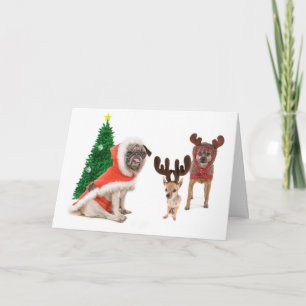 Cartes Pour Fêtes Annuelles Les remplaçants