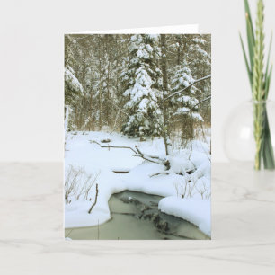 Cartes Pour Fêtes Annuelles Les terres humides d'hiver