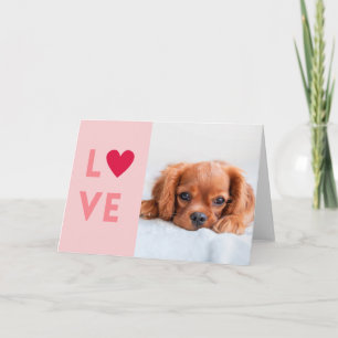Cartes Pour Fêtes Annuelles Lettre d'amour personnalisée du chien