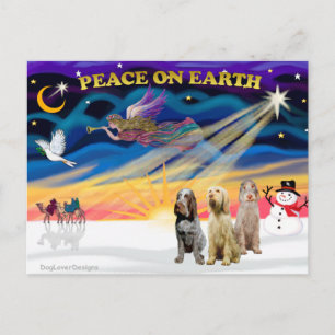 Cartes Pour Fêtes Annuelles Lever de soleil de Noël - Trois Spinones italiens