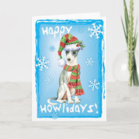 Lévrier italien heureux de Howlidays