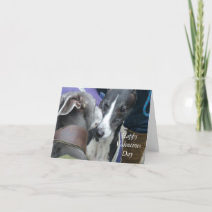 Cartes Pour Fêtes Annuelles Lévrier Valentine (p235)