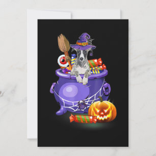 Cartes Pour Fêtes Annuelles Lévrier Whippet avec chapeau de sorcière bonbon ci