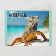 lézard profitant de la plage à aruba