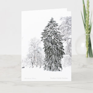 Cartes Pour Fêtes Annuelles L'hiver dans le jardin public de Boston