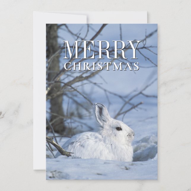 Cartes Pour Fêtes Annuelles Lièvre de raquette reposant dans la neige (Devant)