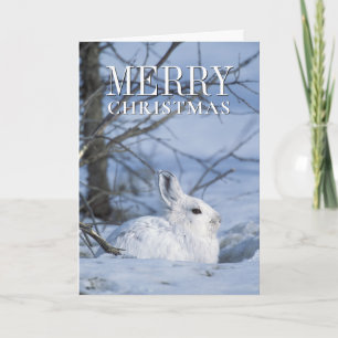 Cartes Pour Fêtes Annuelles Lièvre de raquette reposant dans la neige