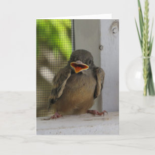 Cartes Pour Fêtes Annuelles Lil Birdie, Joyeux oiseau souriant