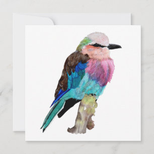 Cartes Pour Fêtes Annuelles Lilac Roller Breast Bird