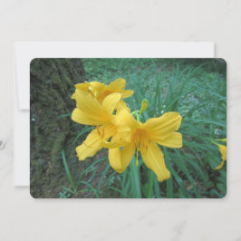 Cartes Pour Fêtes Annuelles Lilies jaunes