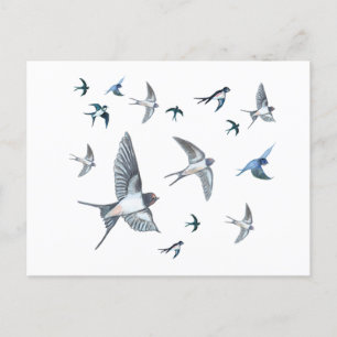Cartes Pour Fêtes Annuelles L'Illustration De L'Avalière Volante