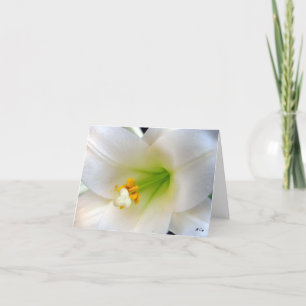 Cartes Pour Fêtes Annuelles Lily de Pâques