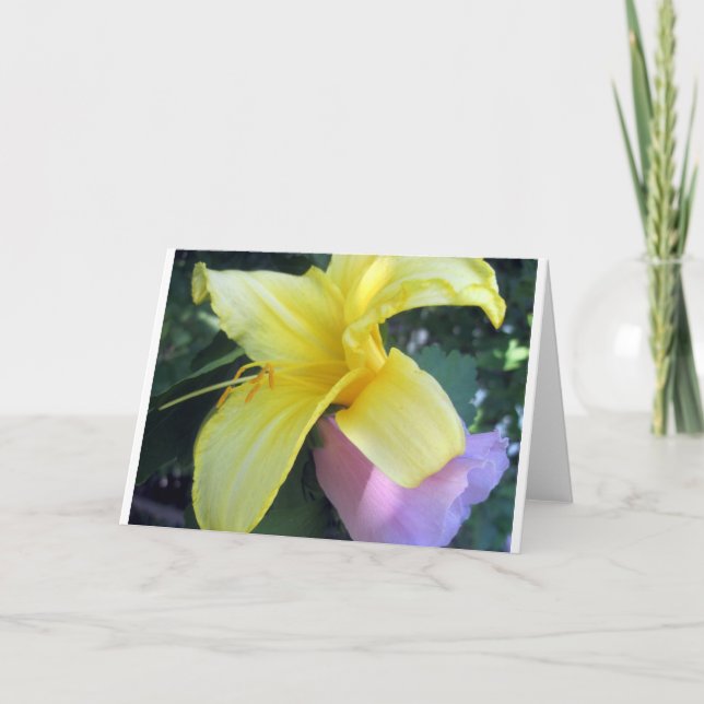 Cartes Pour Fêtes Annuelles Lily jaune (Devant)