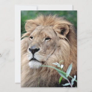 Cartes Pour Fêtes Annuelles Lion 021