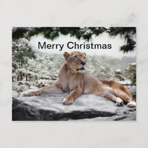 Cartes Pour Fêtes Annuelles Lion à Noël