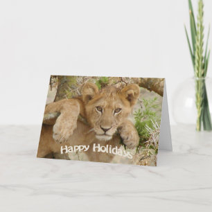 Cartes Pour Fêtes Annuelles Lion CUB dans l'arbre (Ishasha, Ouganda) bonnes
