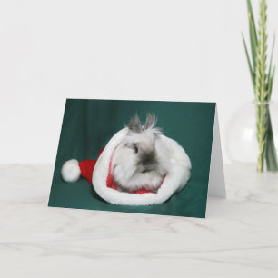 Cartes Pour Fêtes Annuelles Lionhead Bunny Père Noël