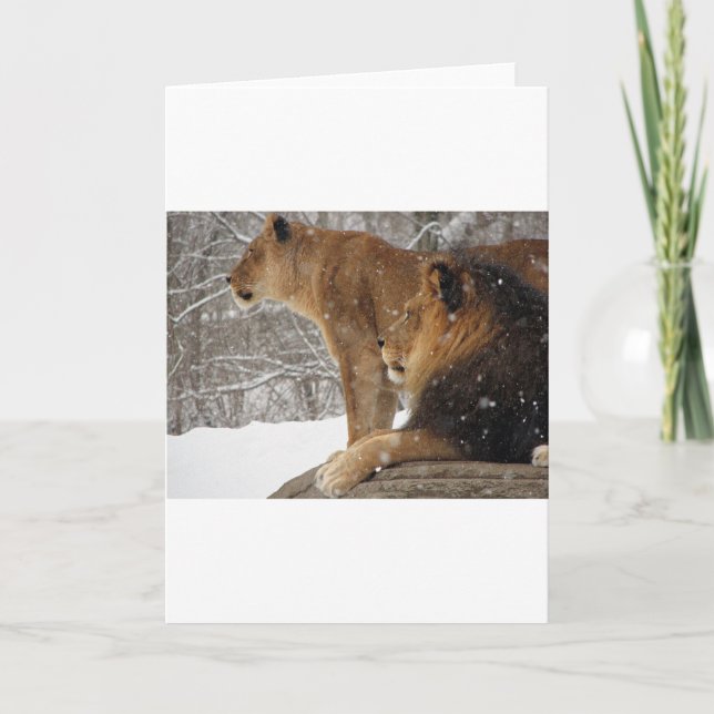 Cartes Pour Fêtes Annuelles Lions (Devant)