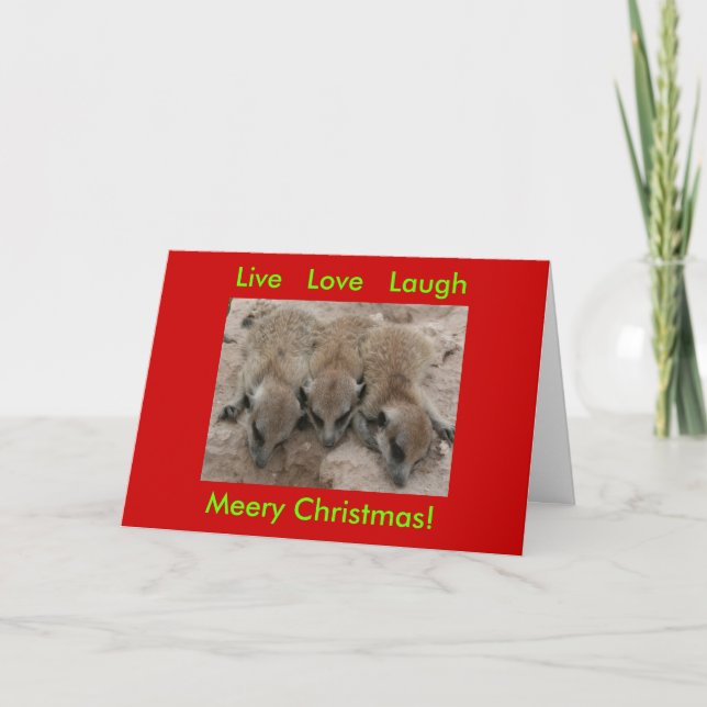 Cartes Pour Fêtes Annuelles Live Love Laugh - Meerkat Holidays Card (Devant)