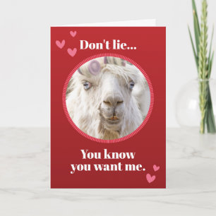 Cartes Pour Fêtes Annuelles Llama blanche et drôle avec Rollers Valentines