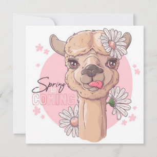 Cartes Pour Fêtes Annuelles Llama de printemps