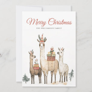 Cartes Pour Fêtes Annuelles Llama Love Christmas Holiday Card