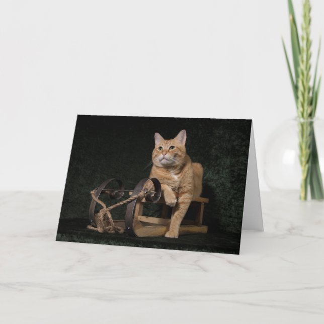 Cartes Pour Fêtes Annuelles Loki avec son "Rosebud " (Devant)