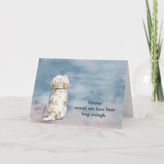 Cartes Pour Fêtes Annuelles Loss of White Maltese Dog Sympathy Card (Devant)