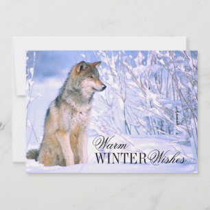 Cartes Pour Fêtes Annuelles Loup de bois assis dans la neige