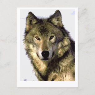 Cartes Pour Fêtes Annuelles Loup gris