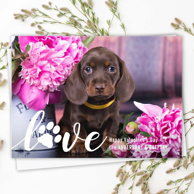 Cartes Pour Fêtes Annuelles LOVE Valentines Jour Personnalisé Animaux de compa (Créateur téléchargé)