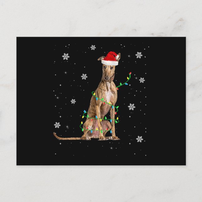 Cartes Pour Fêtes Annuelles Lumière de Noël Whippet Cute Santa Whippet Xmas (Devant)