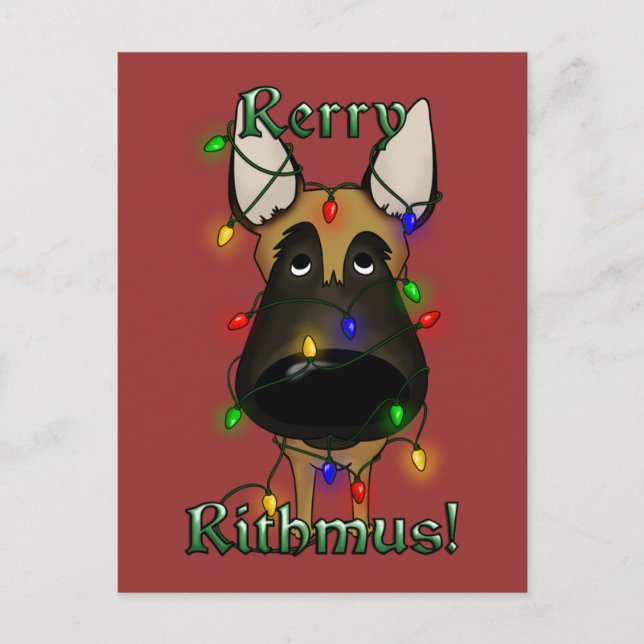Cartes Pour Fêtes Annuelles Lumières de Noël de Malinois de Belge (Devant)