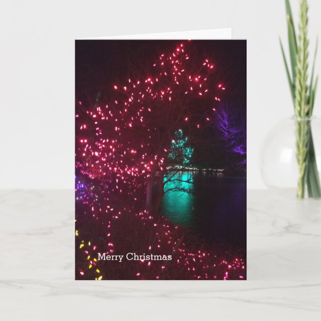 Cartes Pour Fêtes Annuelles Lumières vives dans un jardin botanique (Devant)