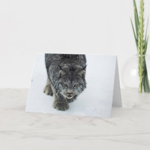 Cartes Pour Fêtes Annuelles Lynx Winter