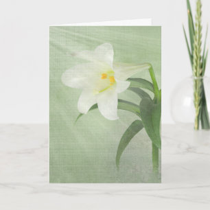 Cartes Pour Fêtes Annuelles Lys de Pâques sur vert