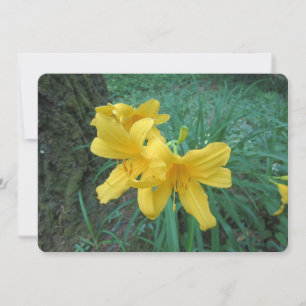 Cartes Pour Fêtes Annuelles Lys jaunes
